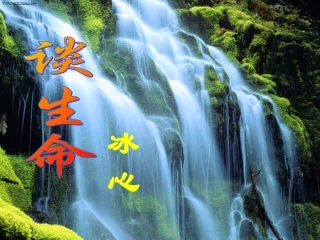 《谈生命》课件4