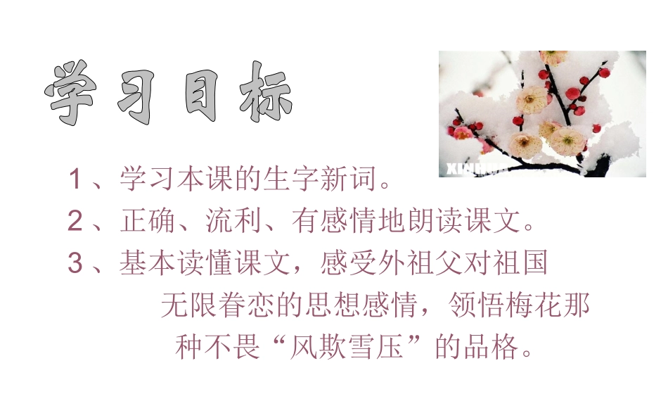 梅花魂第一课时PPT课件_第2页