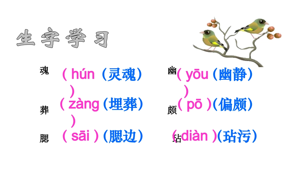 梅花魂第一课时PPT课件_第3页