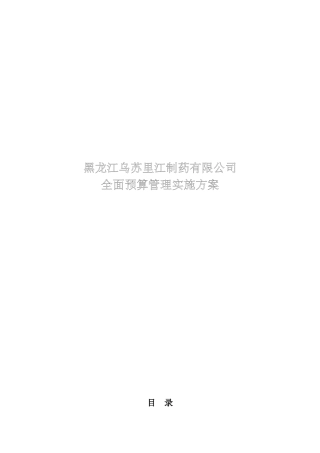 全面预算管理实施方案