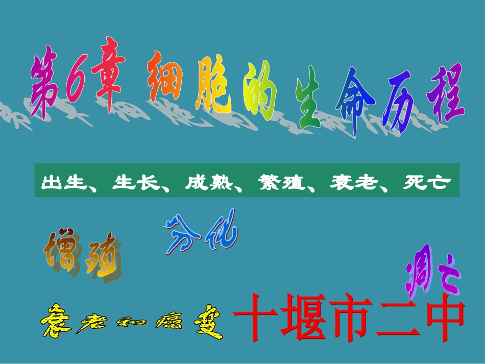 2014-2015学年高中生物精选课件：细胞的增殖2（人教版必修1）[来源：学优高考网2567680]_第1页
