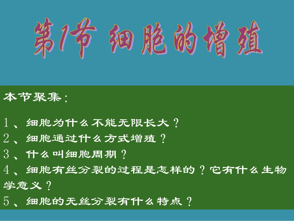 2014-2015学年高中生物精选课件：细胞的增殖2（人教版必修1）[来源：学优高考网2567680]_第2页