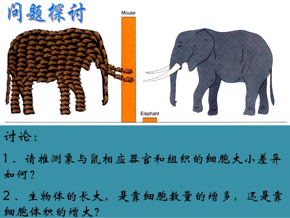 2014-2015学年高中生物精选课件：细胞的增殖2（人教版必修1）[来源：学优高考网2567680]_第3页