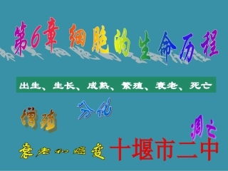2014-2015学年高中生物精选课件：细胞的增殖2（人教版必修1）[来源：学优高考网2567680]