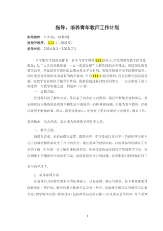 培养、指导青年教师工作计划