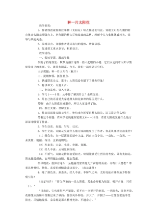 四年级语文下册 3 花 种一片太阳花教案 北师大版-北师大版小学四年级下册语文教案