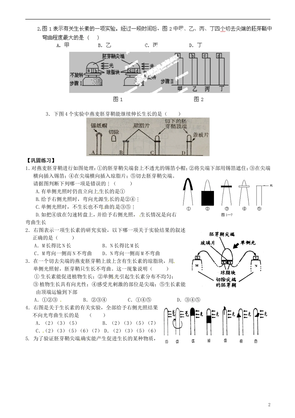 江苏省海头高级中学高中生物《241 植物生长素的发现》导学案 苏教版必修3_第2页