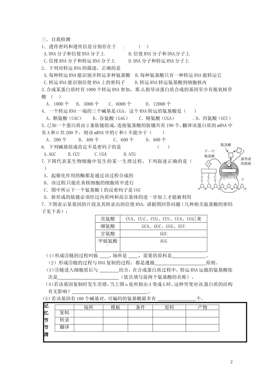 山东省德州市高中生物 基因指导蛋白质的合成（第二课时）学案 新人教版必修2_第2页