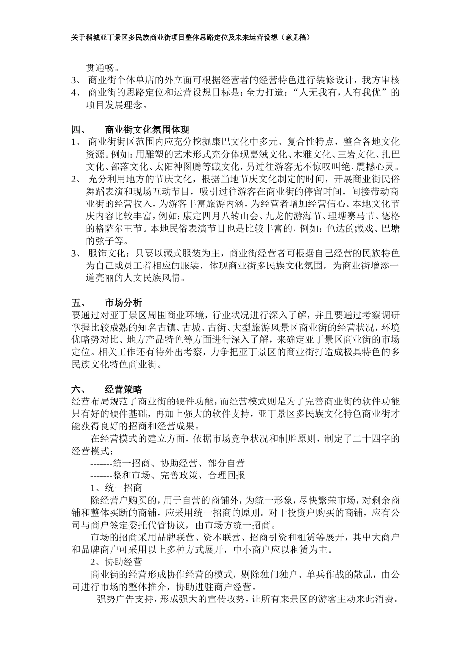 旅游景区商业街《思路定位及运营设想方案》_第2页