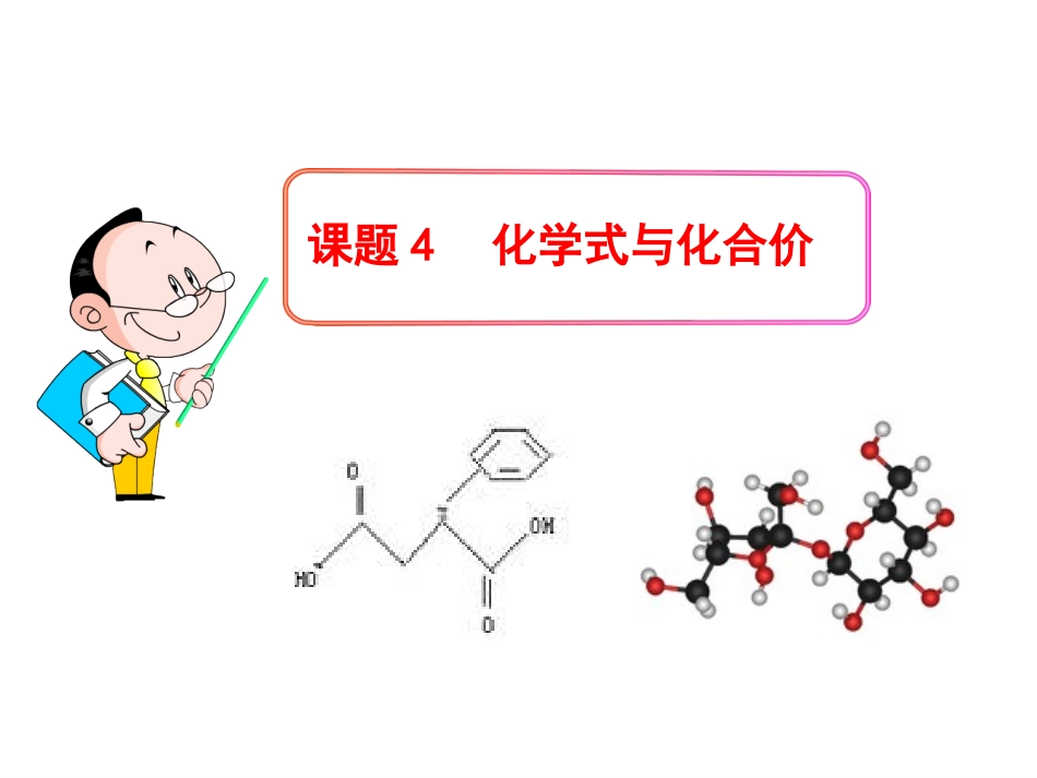 《化学式与化合价》参考课件1_第1页