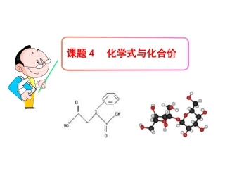《化学式与化合价》参考课件1