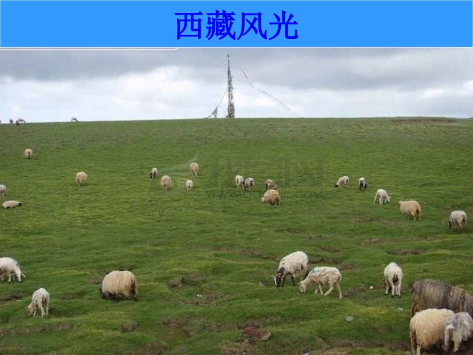 青藏高原好风光_第2页
