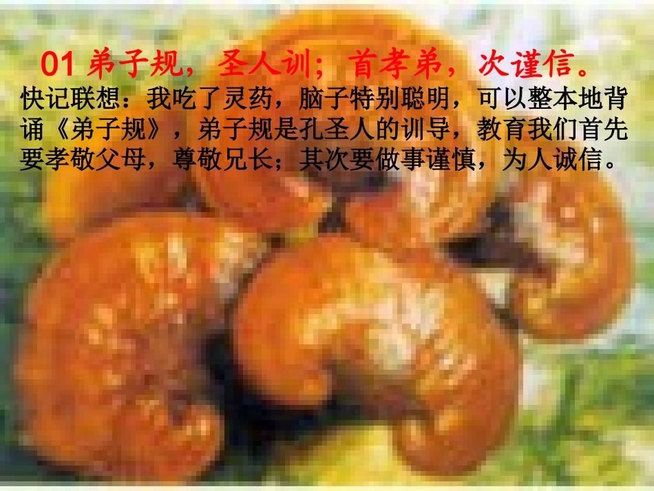 弟子规图忆顺序_第1页