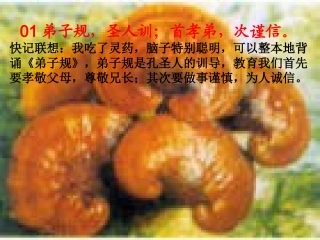 弟子规图忆顺序