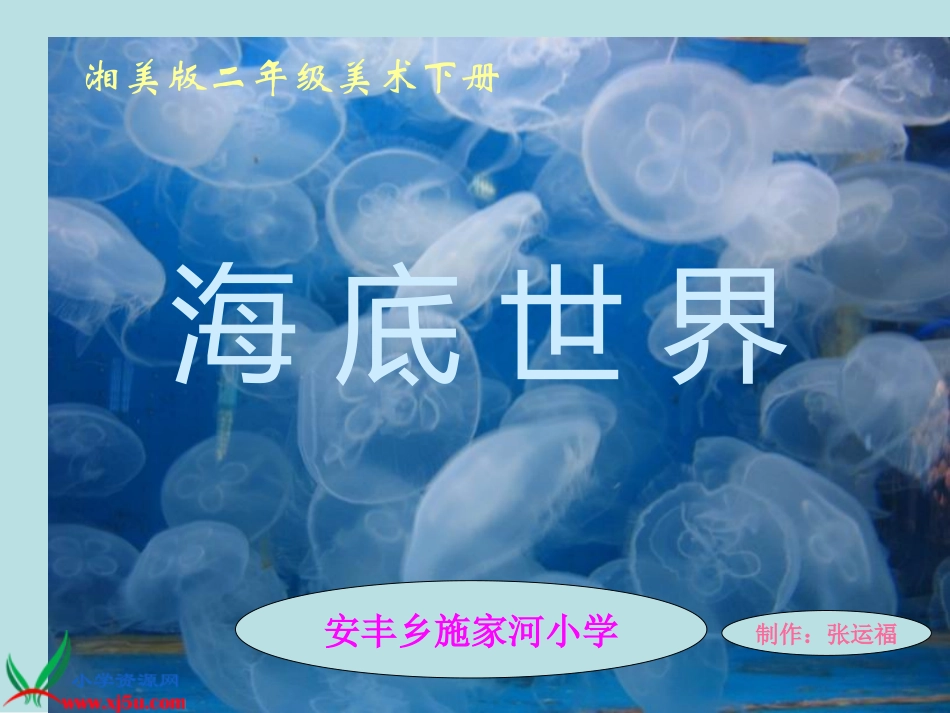 湘美版小学美术二年级下册《海底世界》PPT演示课件 (2)_第1页