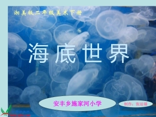 湘美版小学美术二年级下册《海底世界》PPT演示课件 (2)