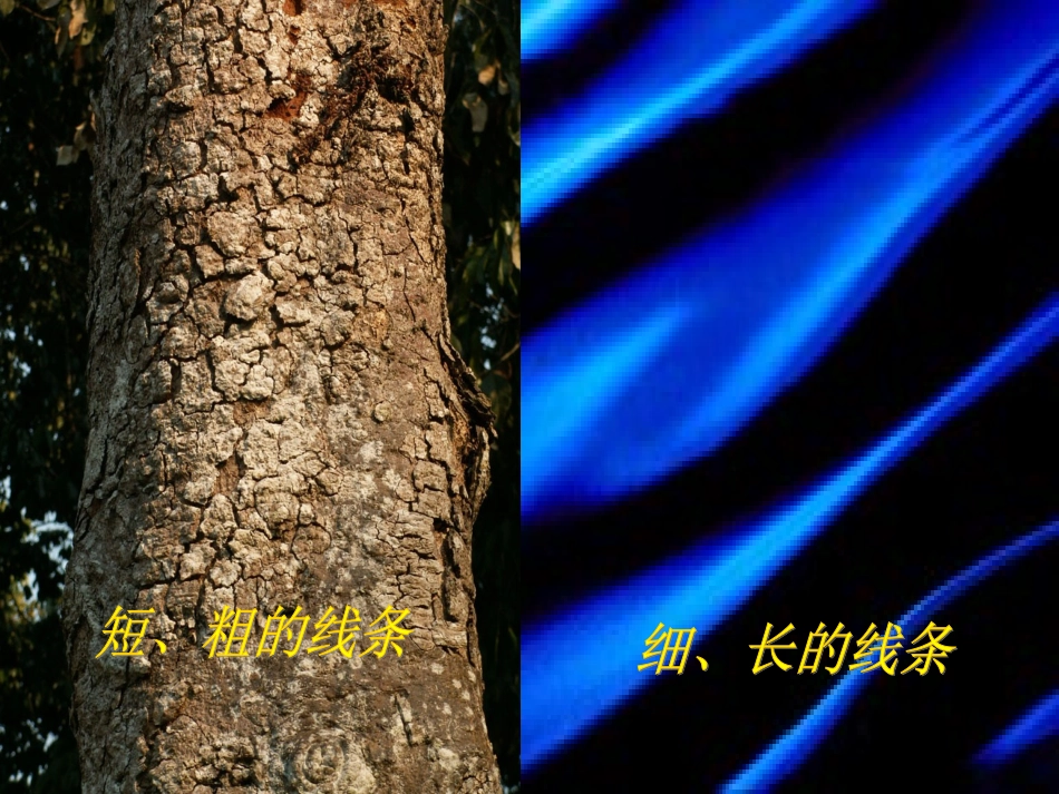 摸一摸、画一画_第2页