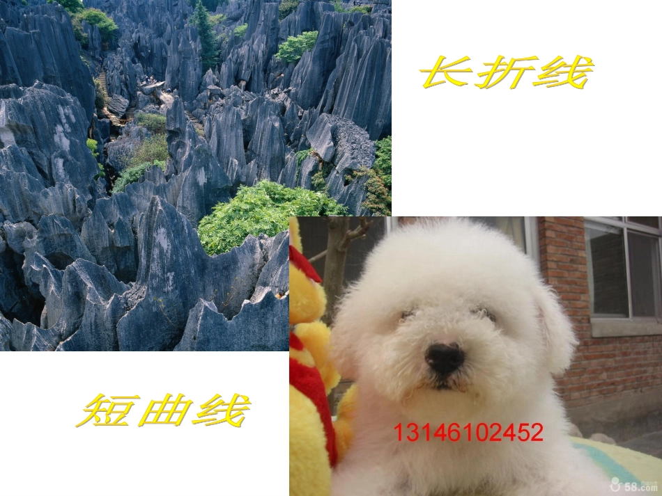 摸一摸、画一画_第3页