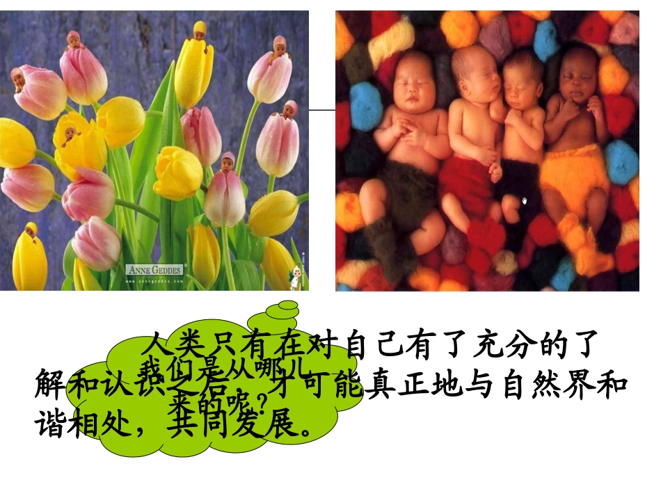精卵结合孕育新生命(修改)_第2页