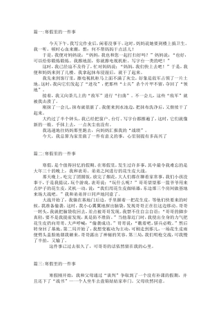 寒假里的一件事