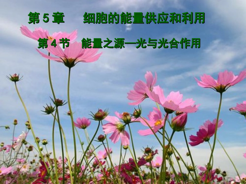 高一生物必修1_能量之源光与光合作用_课件_第1页