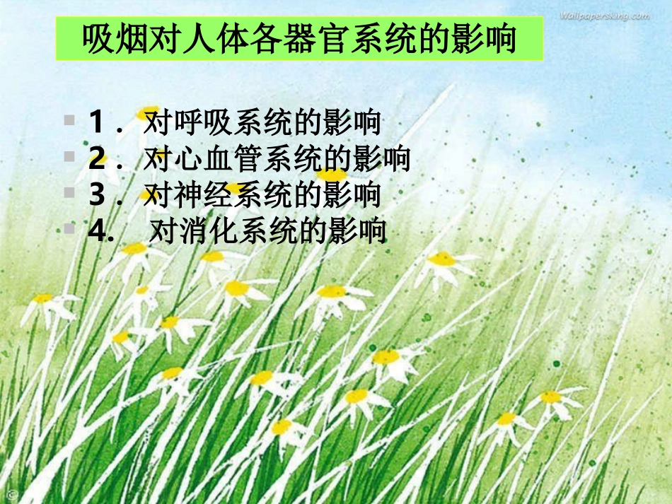 吸烟危害健康_第3页