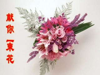 献你一束花课件1