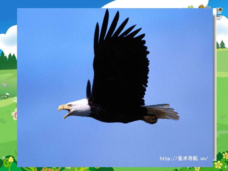 美丽的生命课件_第2页