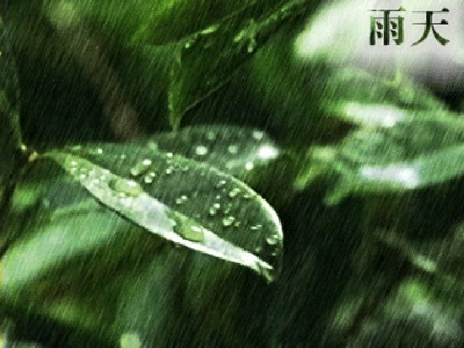 雨铃铛 (2)_第3页