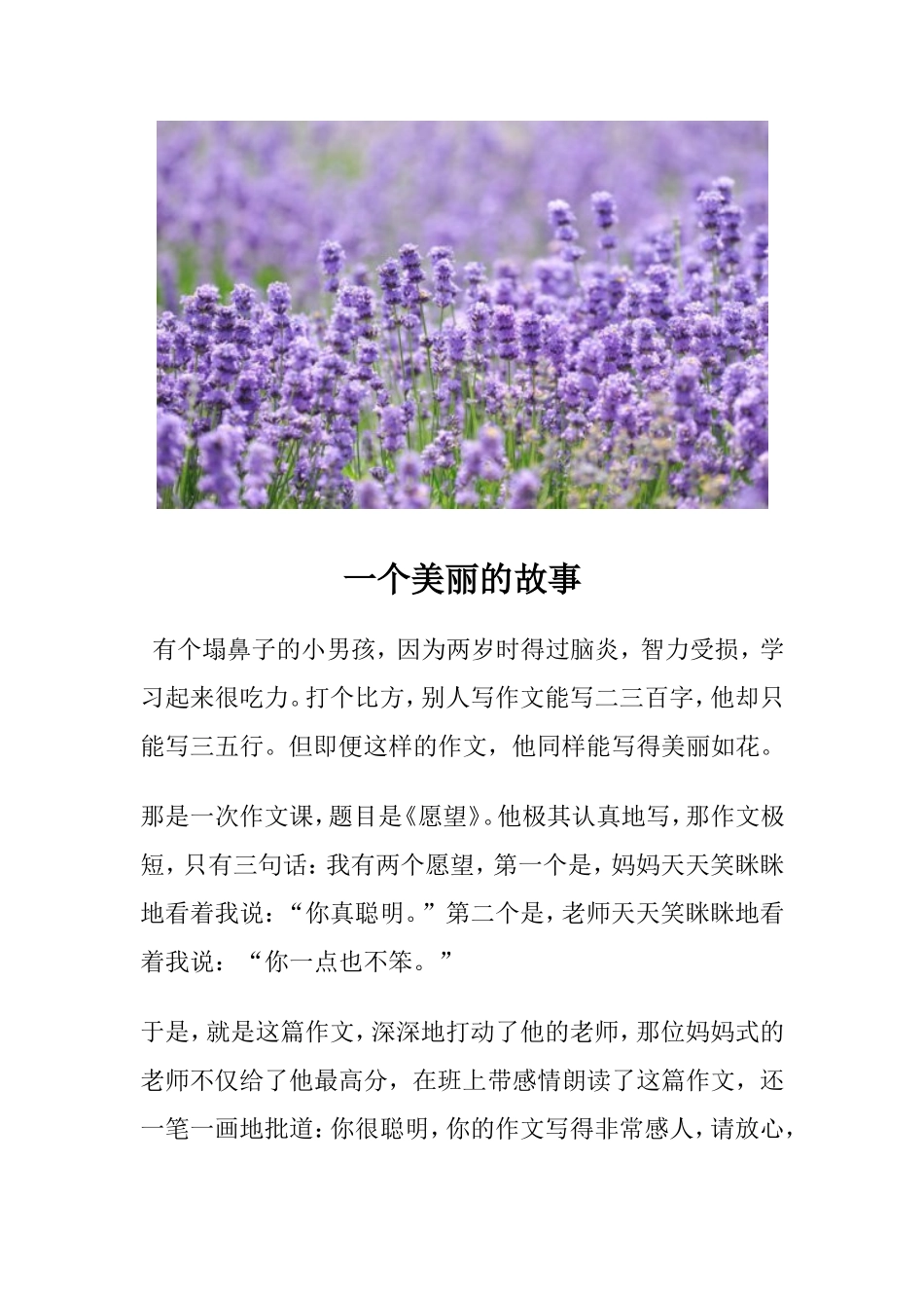 一个美丽的故事_第1页