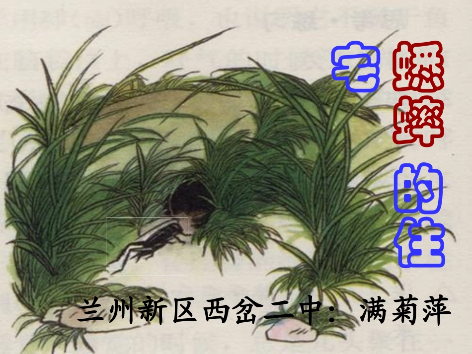 _蟋蟀的住宅教学课件满菊萍_第1页
