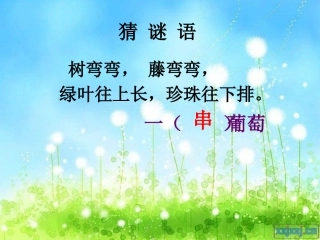 酸的和甜的课件