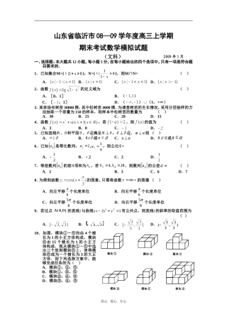 山东省临沂市08—09学年度高三数学上学期期末考试模拟试题 （文科）