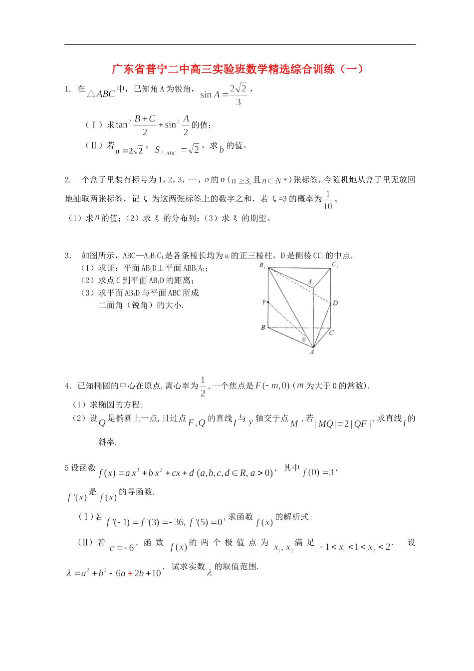 广东省普宁二中高三数学实验班精选综合训练（一）_第1页