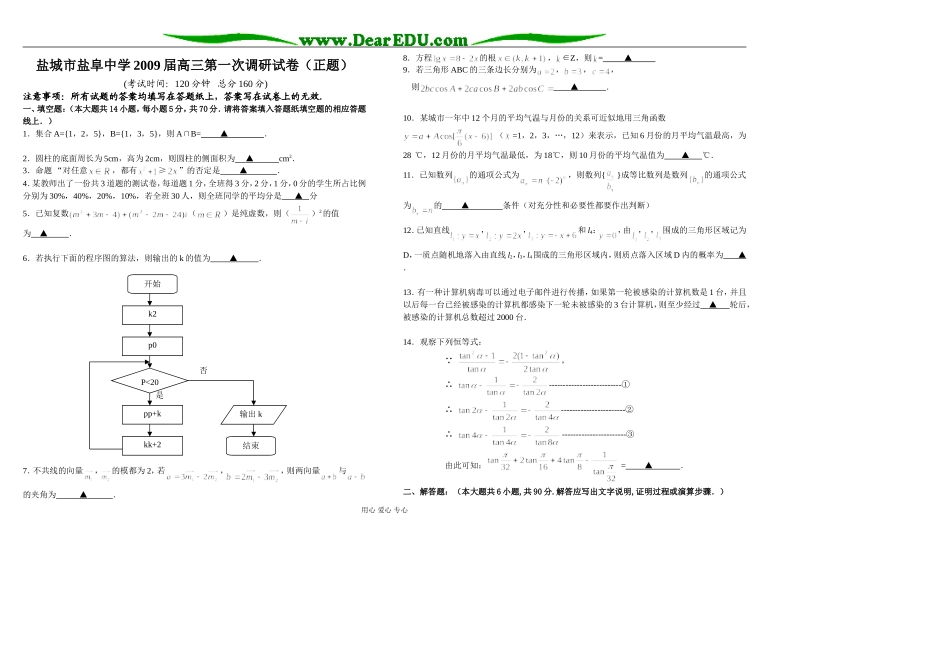 江苏省盐城市盐阜中学09届第一次高三数学调研试卷_第1页