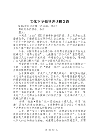 文化下乡领导讲话发言稿3篇(3)