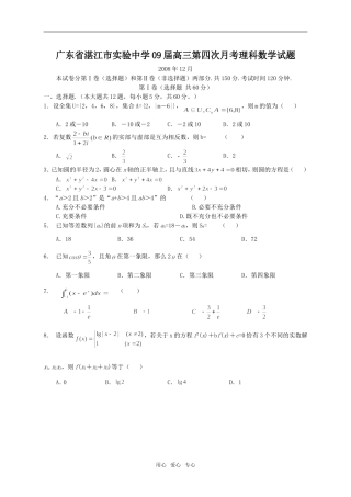 广东省湛江市实验中学09届高三数学第四次月考理科试题
