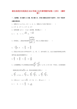 湖北省武汉市武昌区高三数学五月调考试卷 文（含解析）-人教版高三全册数学试题