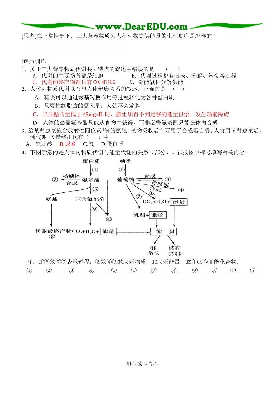 三大营养物质代谢2_第2页