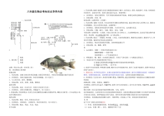 人教版八年级生物上册2014年最新知识点总结(全面复习编写)