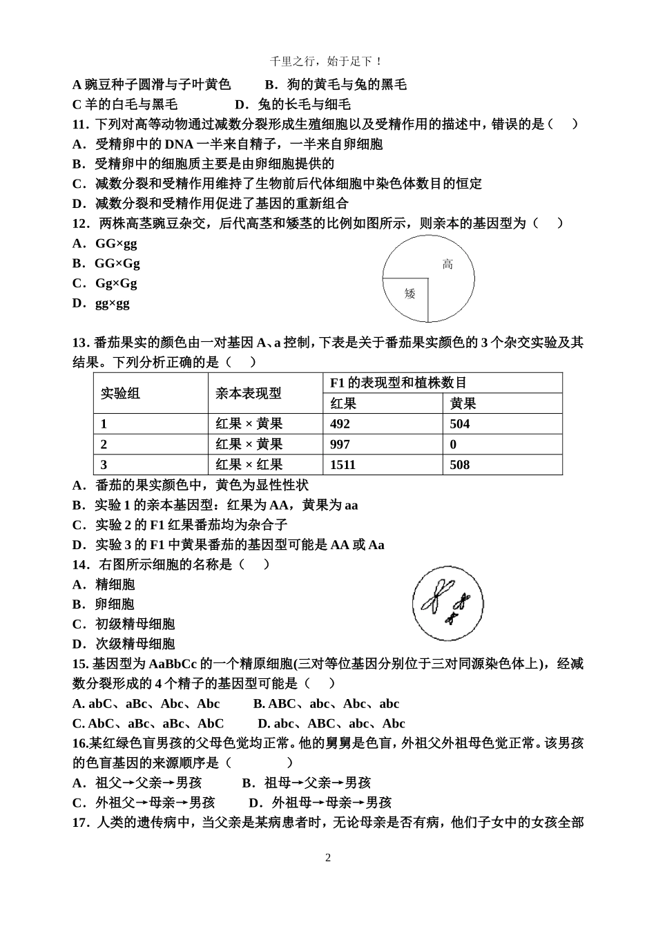 孟德尔遗传定律综合试题及答案_第2页