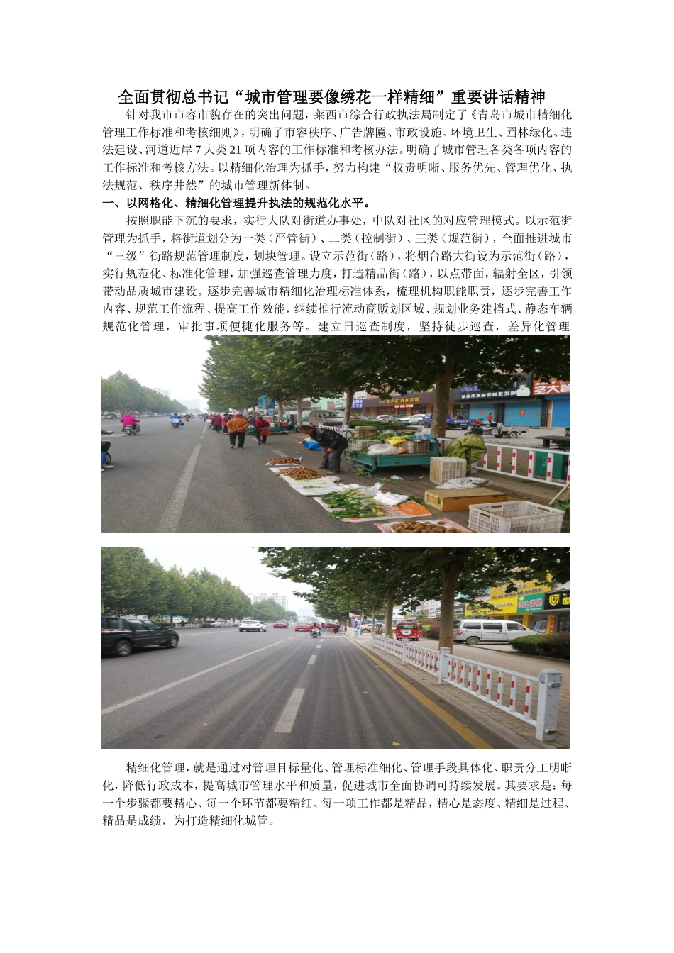 全面贯彻总书记城管理要像绣花一样精细重要讲话精神_第1页