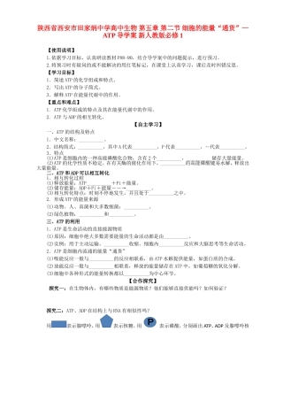 陕西省西安市田家炳中学高中生物 第五章 第二节 细胞的能量“通货”—ATP导学案 新人教版必修1