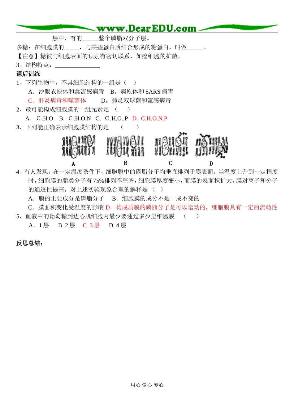 细胞膜的结构和功能_第2页