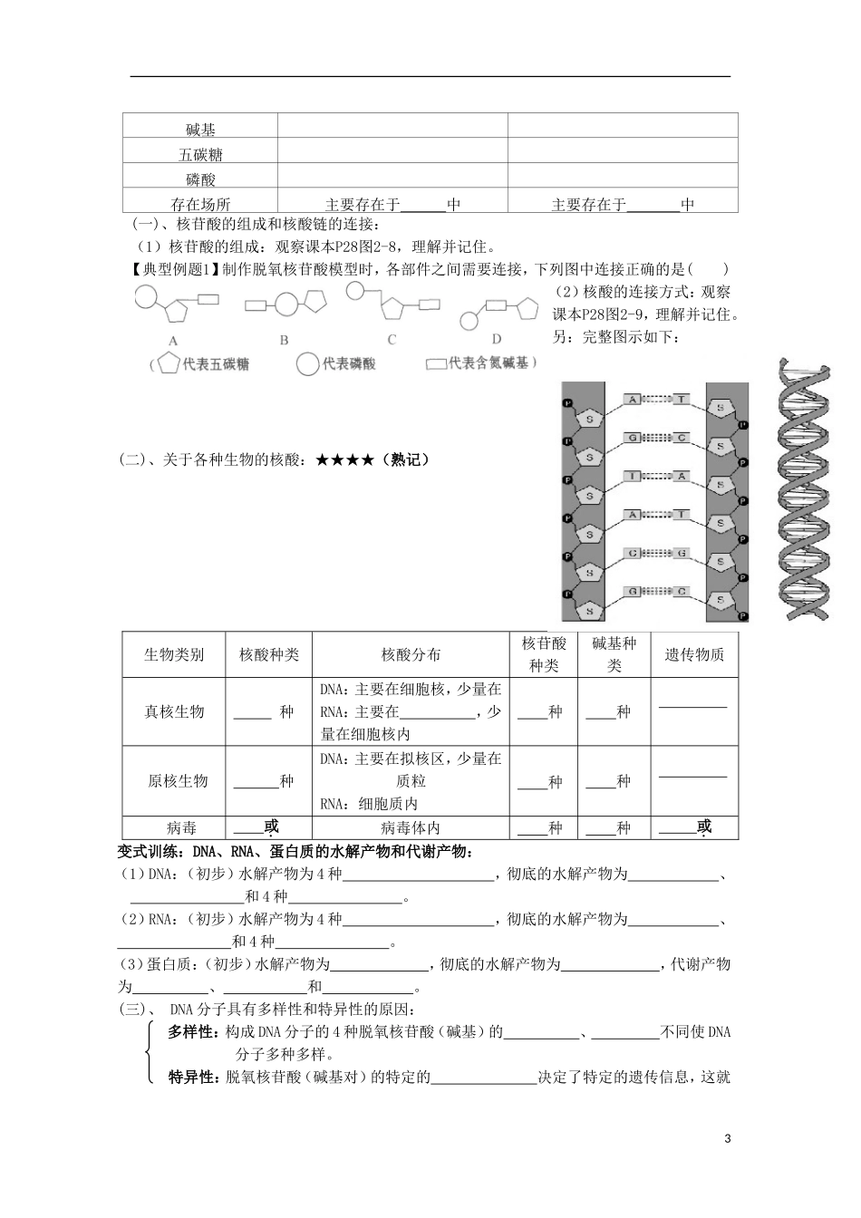 山东省文登市教育教学研究培训中心高中生物 第2章第3节遗传信息的携带者 核酸学案 新人教版必修2_第3页