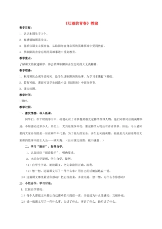 四年级语文上册 壮丽的青春 2教案 人教版
