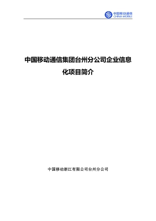 企业信息化项目介绍
