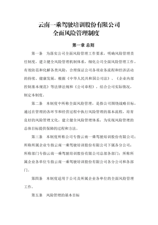 全面风险管理制度