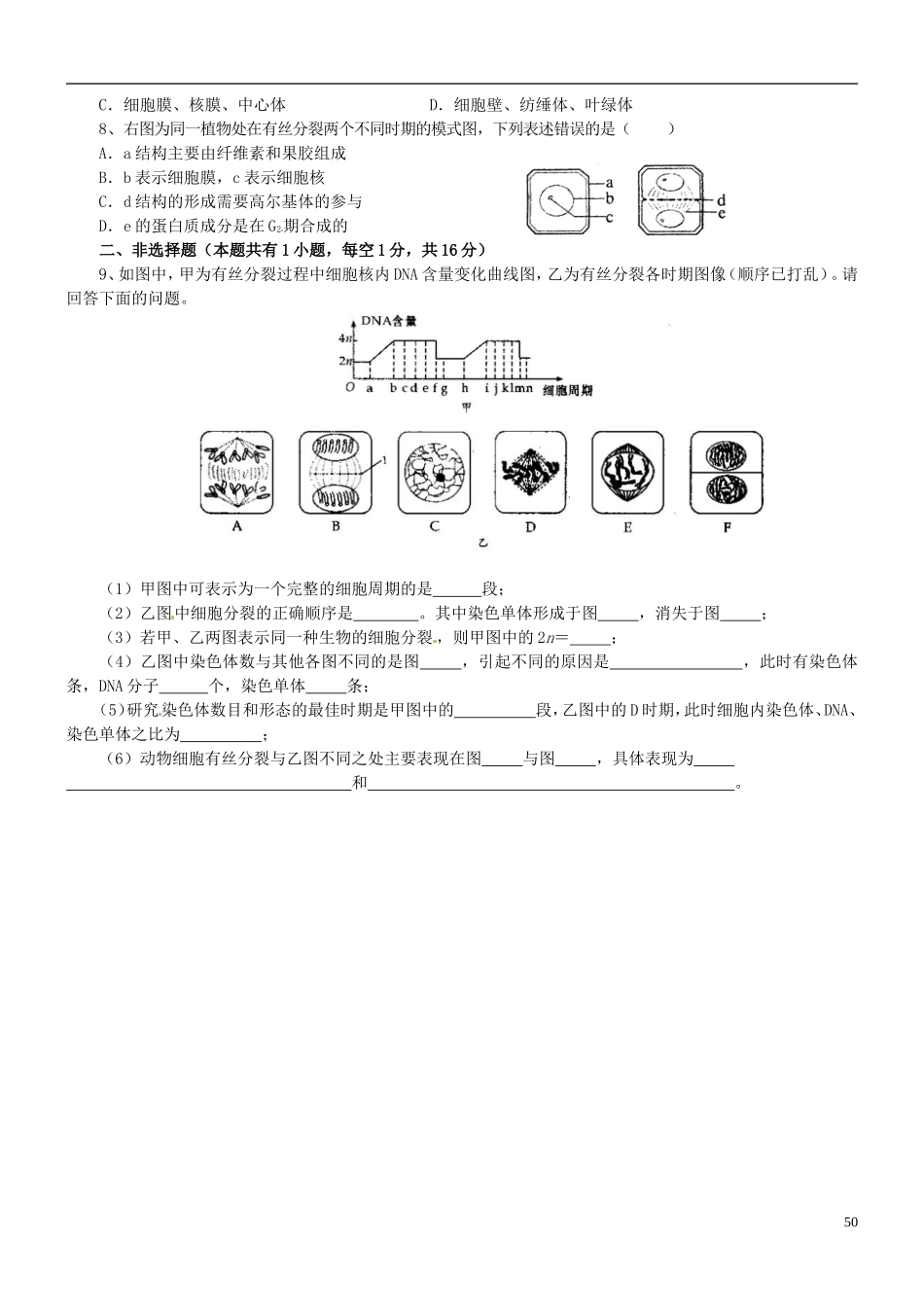 浙江省临海市白云高级中学高三生物 有丝分裂过程中的染色体变化复习导学案 _第2页