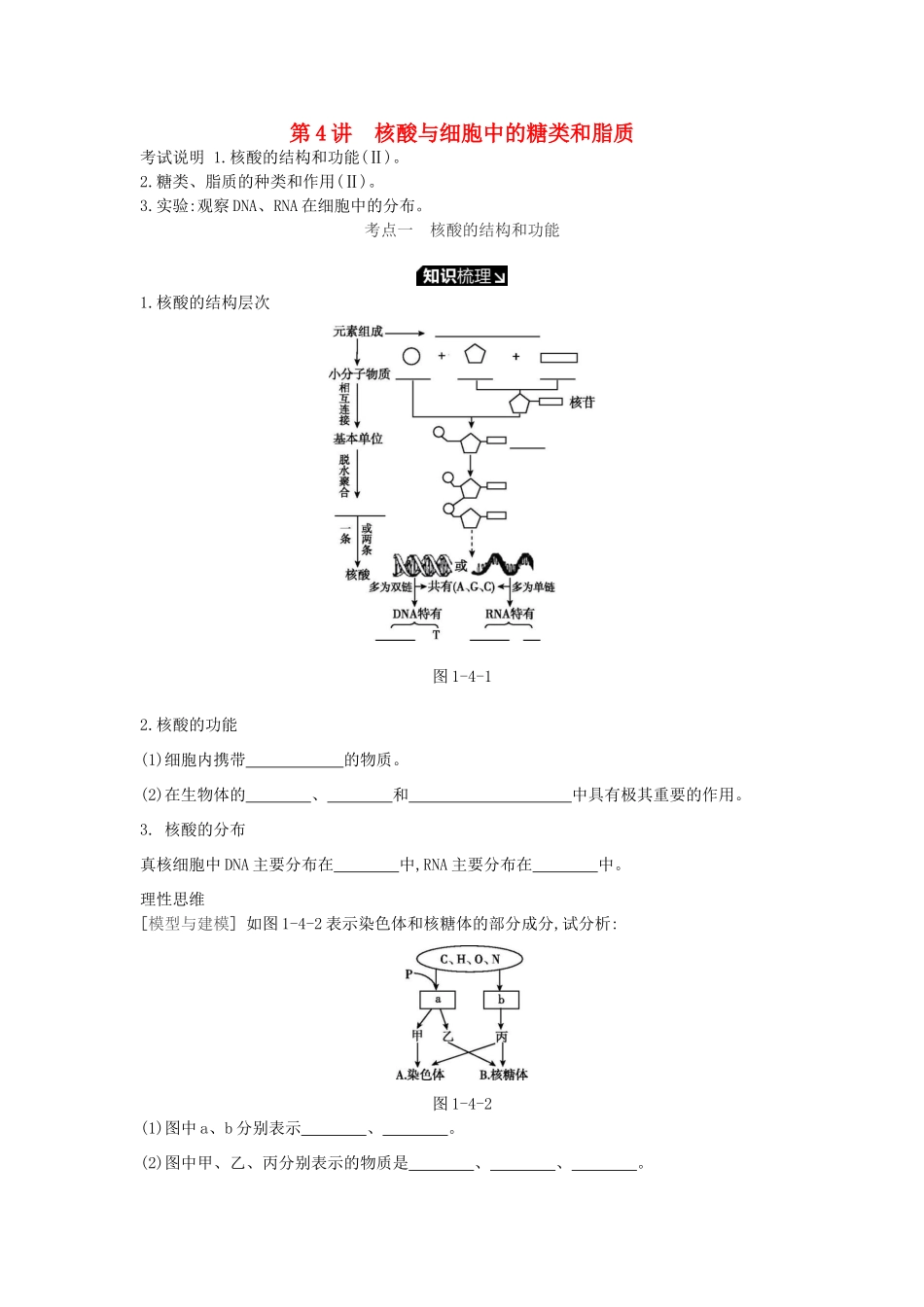 高考生物一轮复习 第1单元 走近细胞与细胞的分子组成 第4讲 核酸与细胞中的糖类和脂质学案 苏教版-苏教版高三全册生物学案_第1页